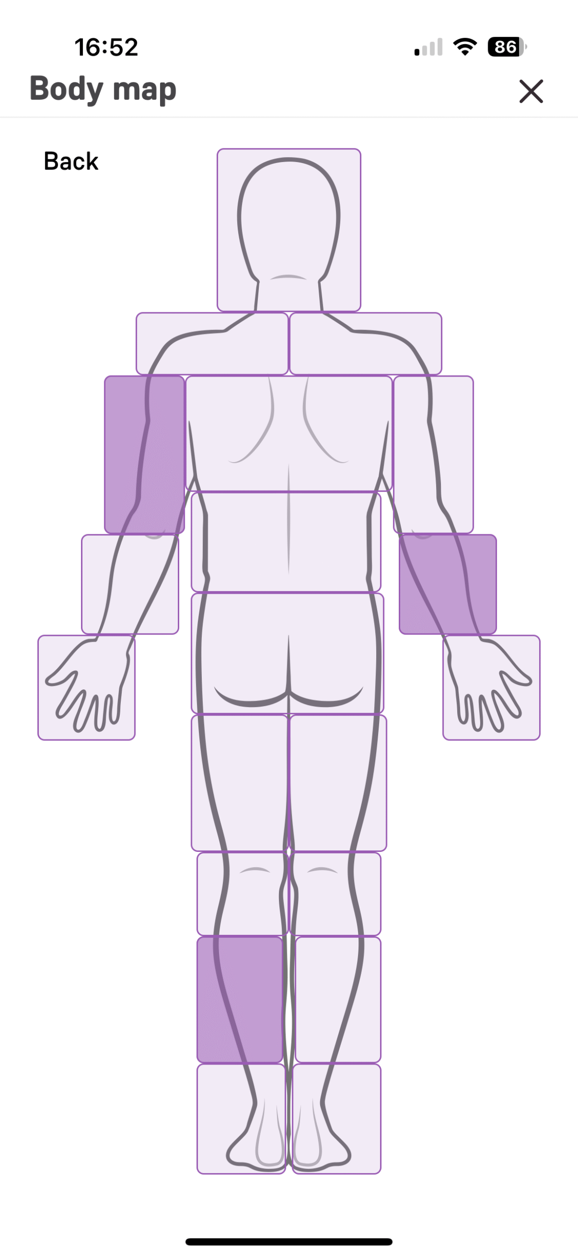 IMG_1105-1-scaled.png